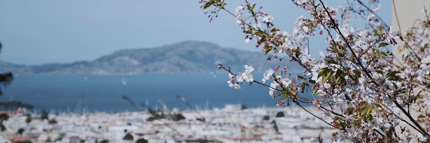 OceanOfCloud's profile banner image