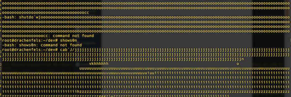 Daniel Vorhauer banner