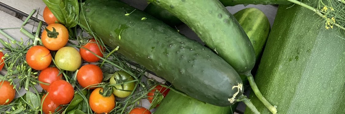 Nathalie Gaucher banner