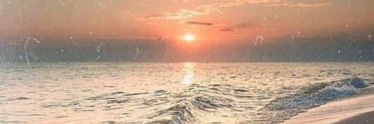 0HMYDADDARIO's profile banner image