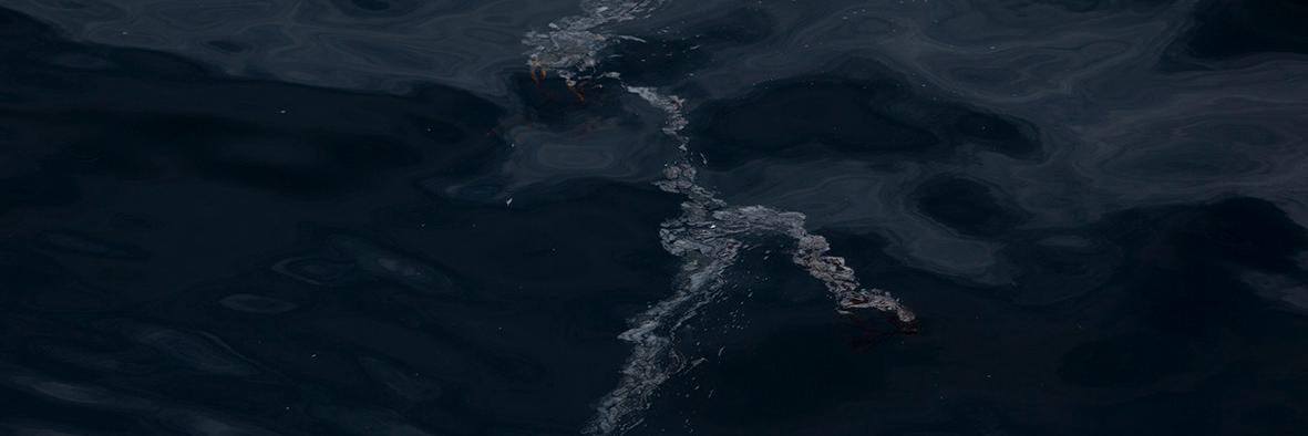 soniaIevy's profile banner image