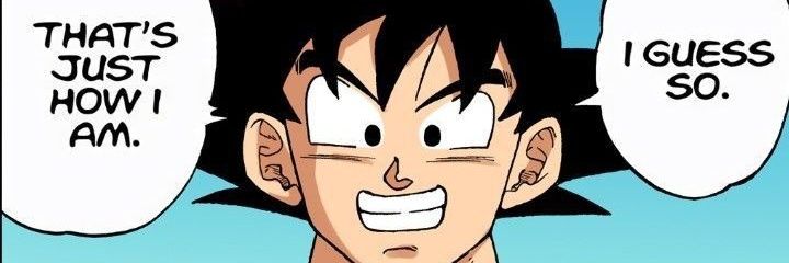 SargentoGoiaba's profile banner image