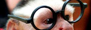 Biophard's profile banner image