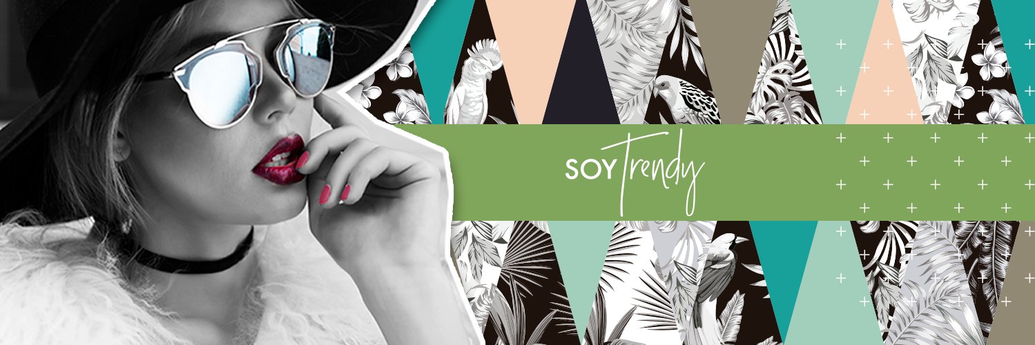 SoyTrendyBlog's profile banner image