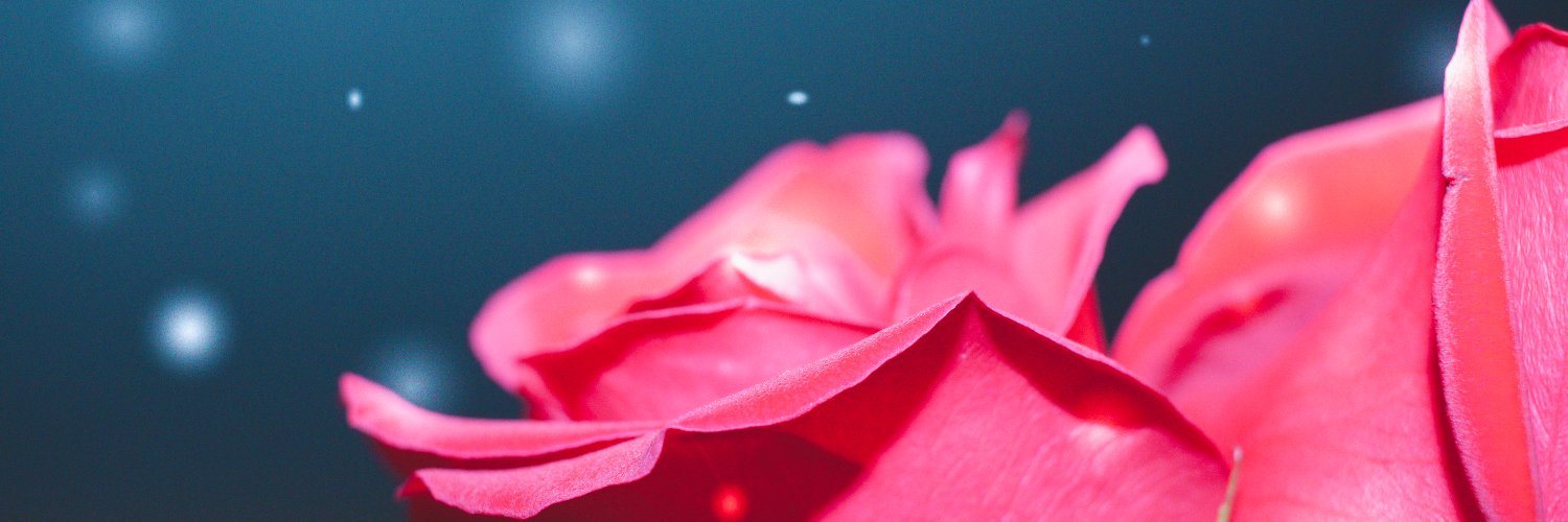 FrazzledDragon's profile banner image