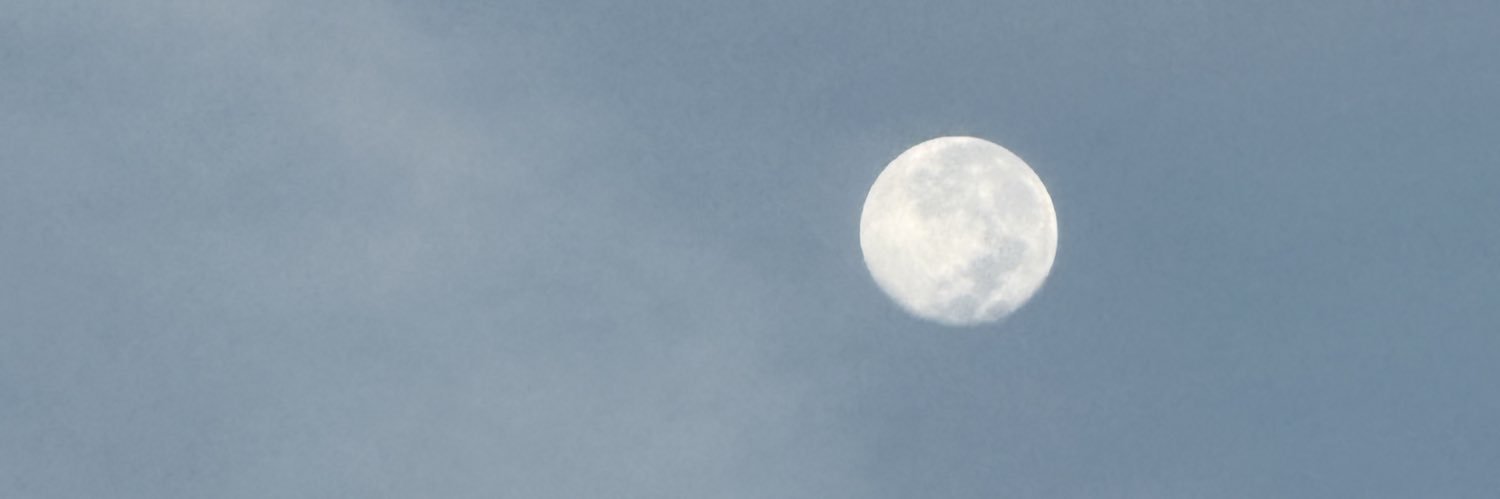 moontnz's profile banner image