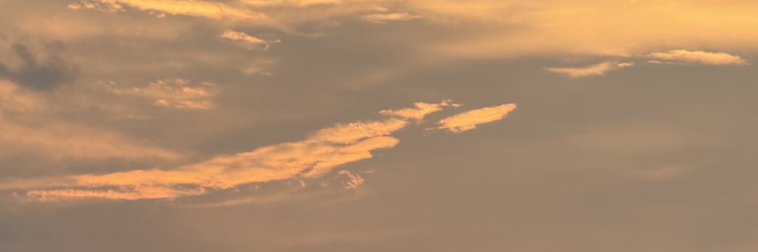 pinkrabbitmic's profile banner image