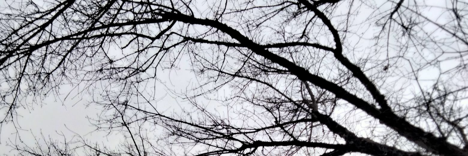 yoυ're мy love ♡ banner