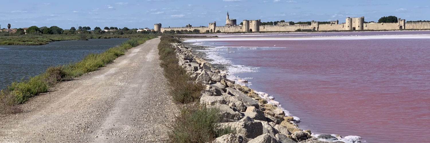 SouthTeacher🍓🤔💪🏻🌈 banner