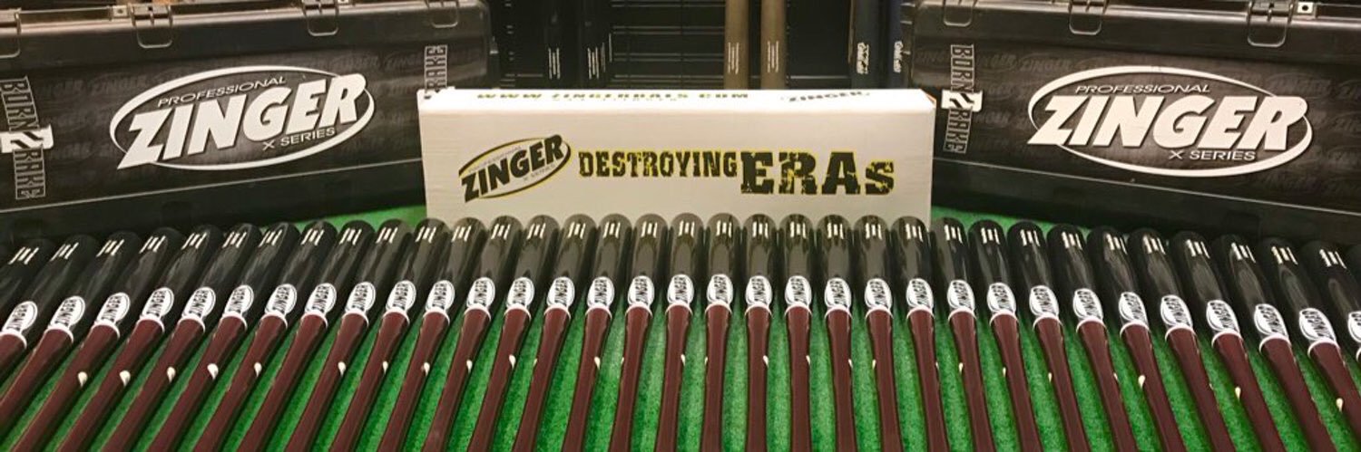 ZingerBatRep's profile banner image