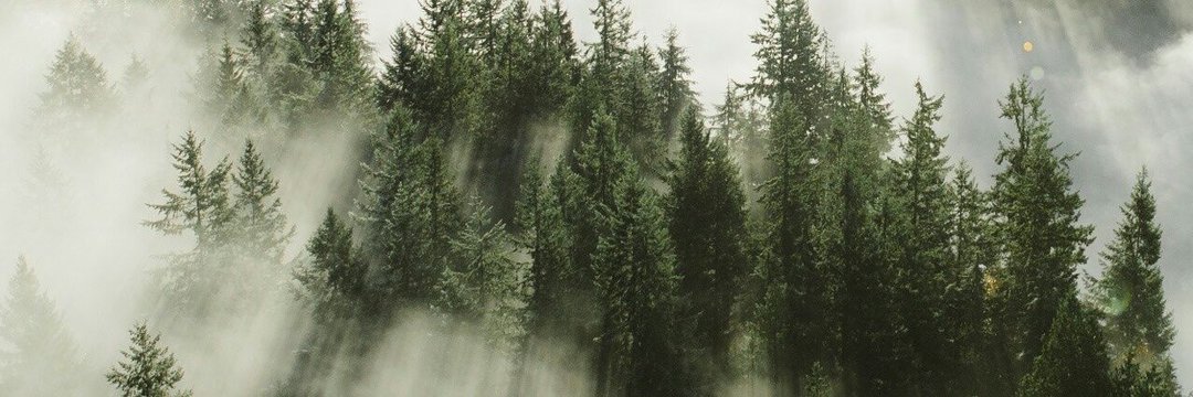 diegosebaslujan's profile banner image