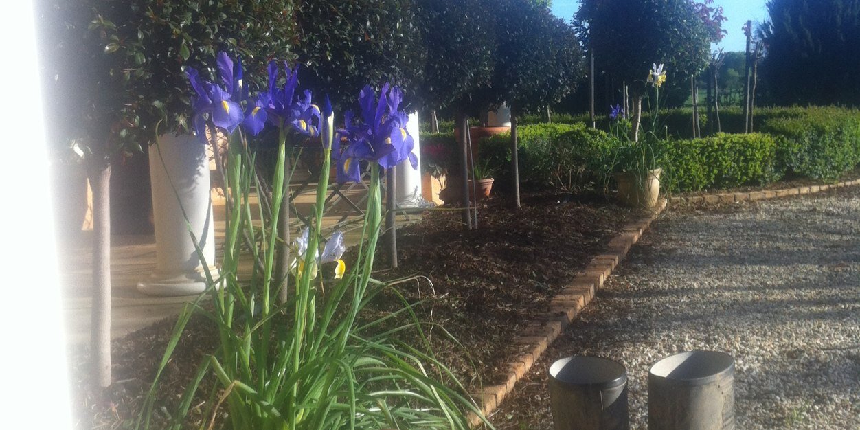 Baz McGrath💉💉💉💉💉 banner