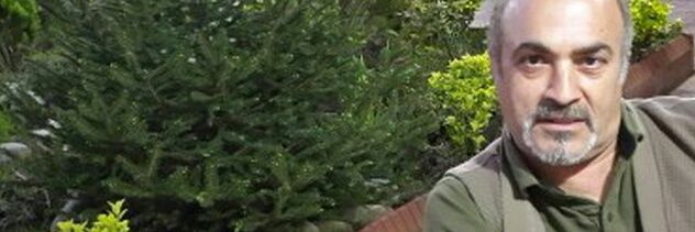 anoshhamid1's profile banner image