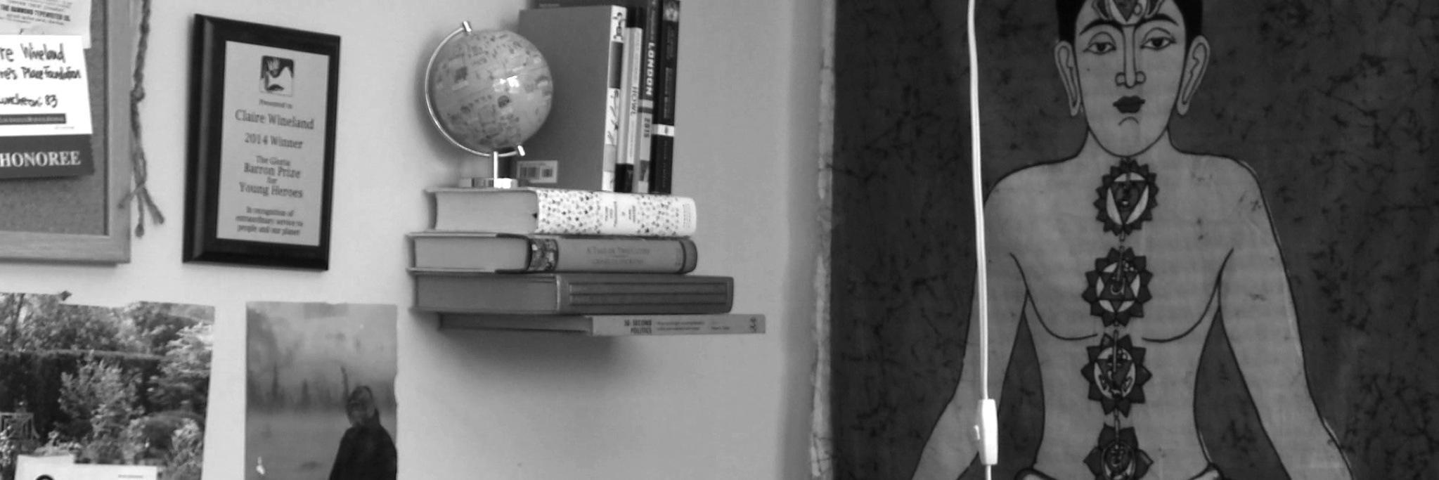 Claire Wineland banner