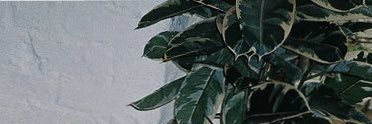 CrazyPeach69's profile banner image