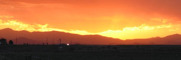 Steve Macy's banner