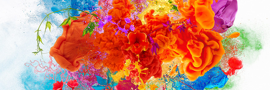 morphwithus's profile banner image