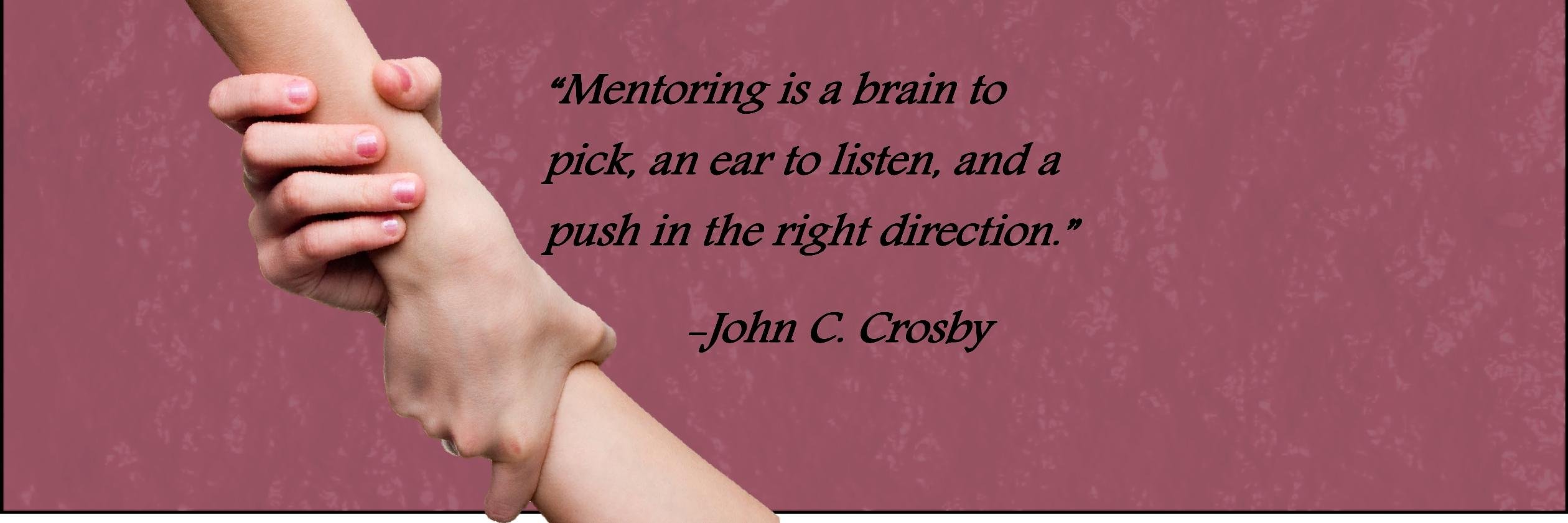 Stellenbosch Mentors banner