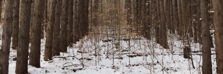 meldplm's profile banner image