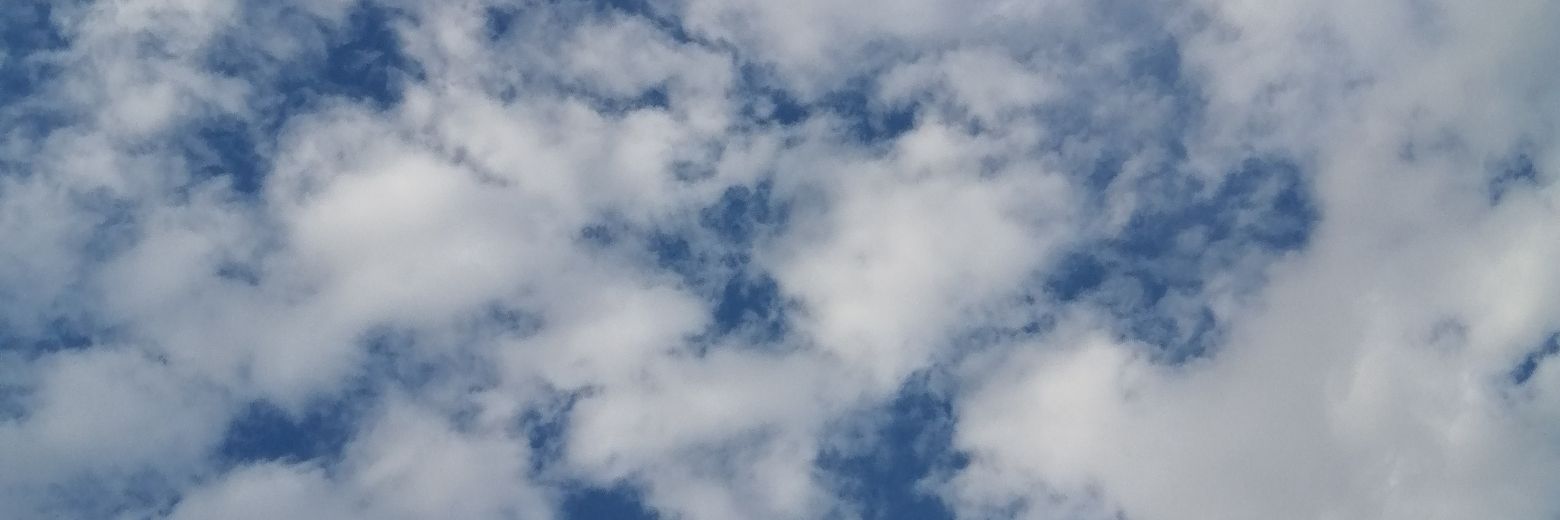 natalitari's profile banner image
