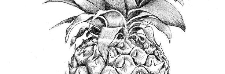 DuaneB222's profile banner image