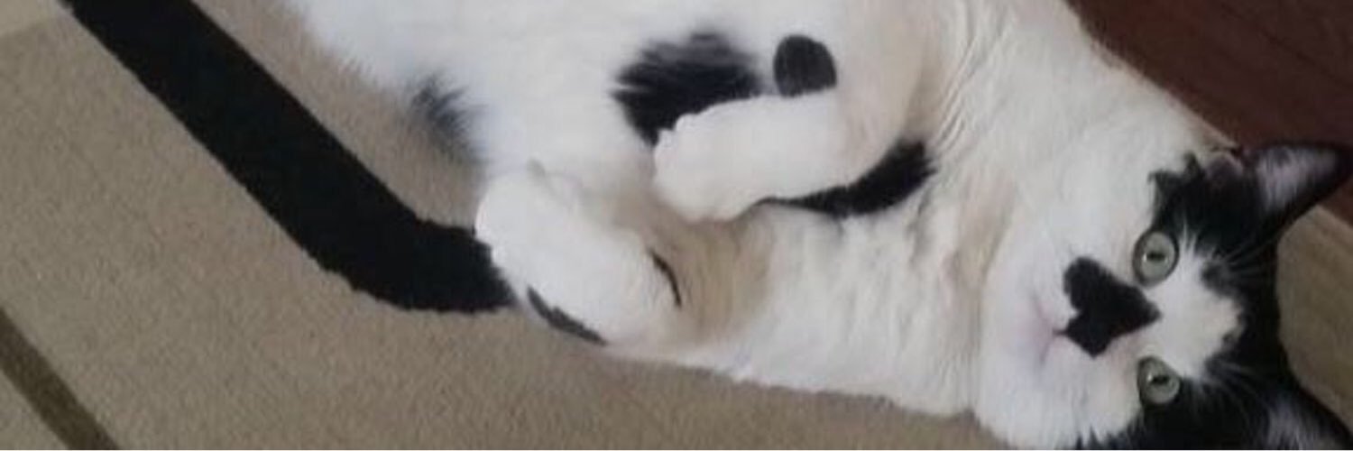 Rick_theCat's profile banner image