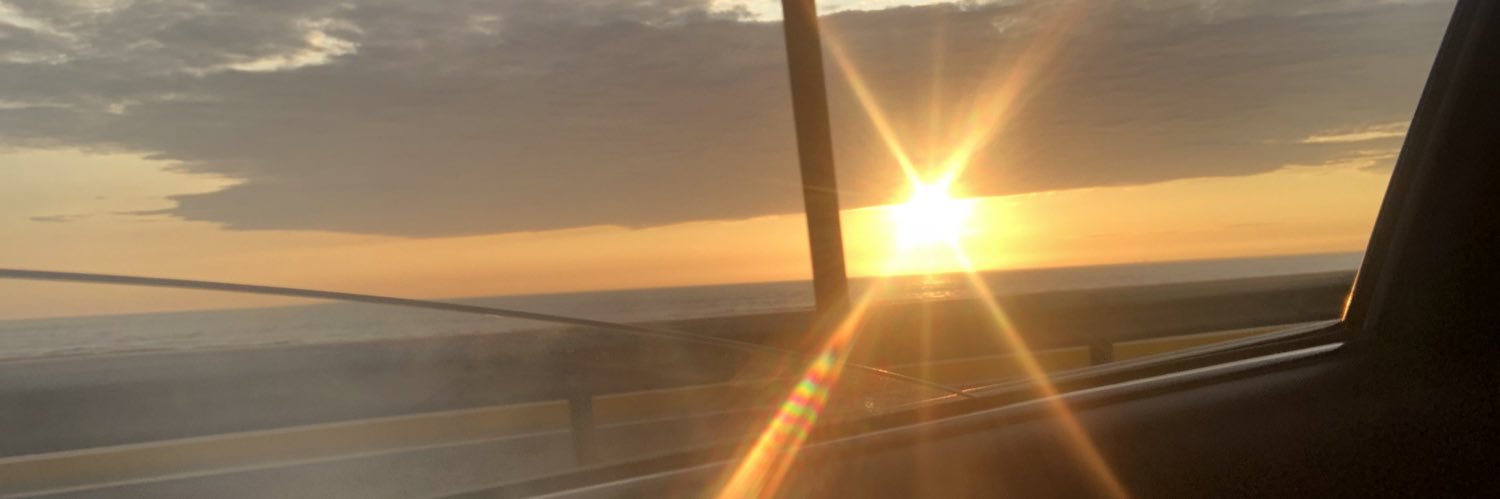 alantheunit's profile banner image