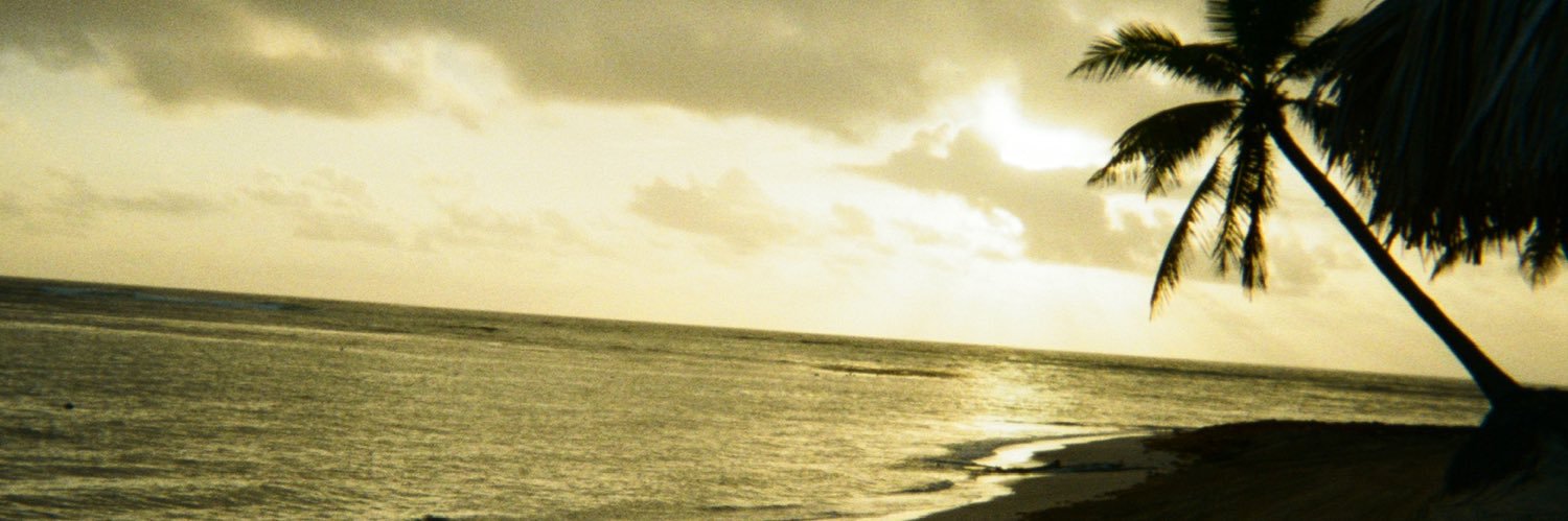 _RedBush's profile banner image