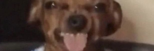 ItzzzelE's profile banner image