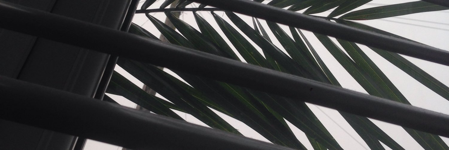 Davinia_Hannah's profile banner image