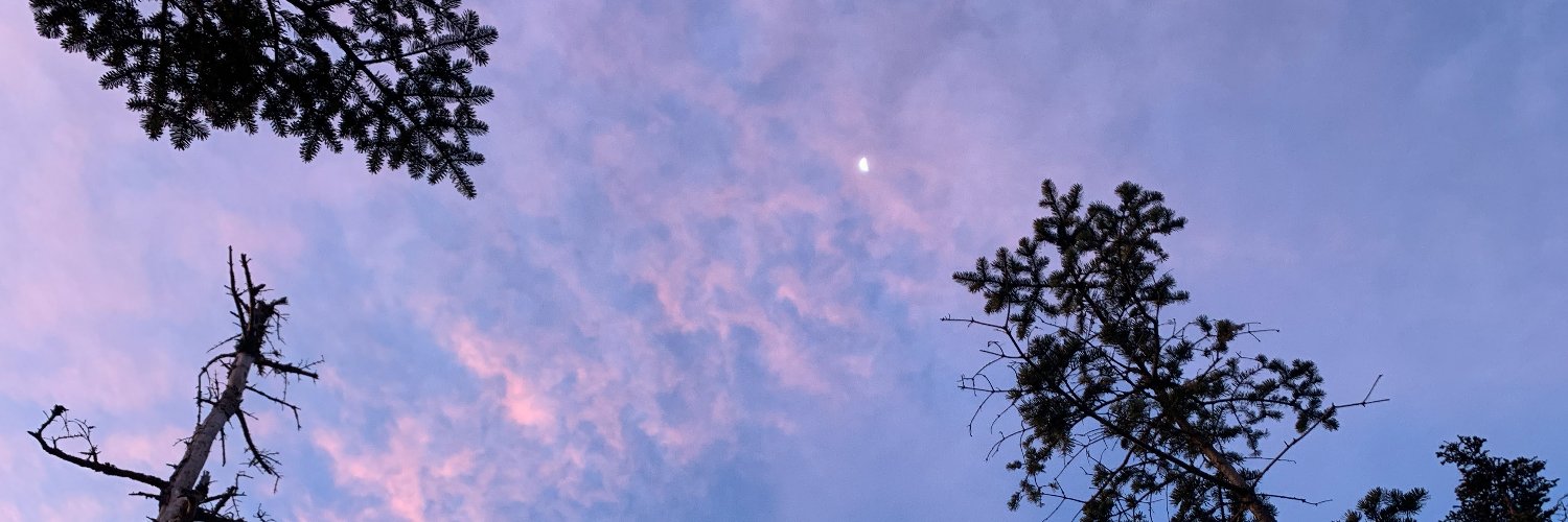 sepesek's profile banner image