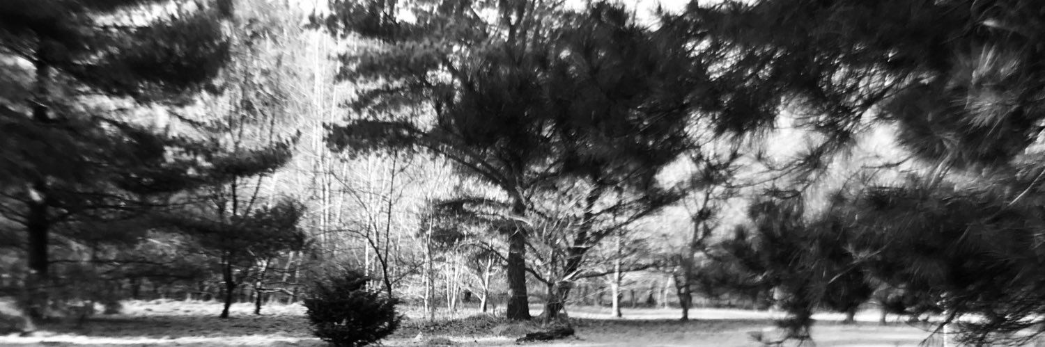 Spirit_210's profile banner image