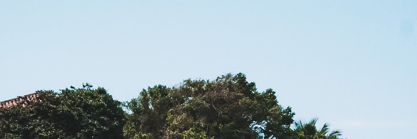dialencarb's profile banner image