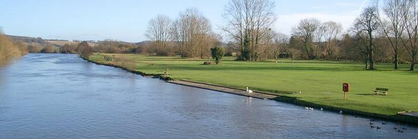 AdvDolphin Profile Banner