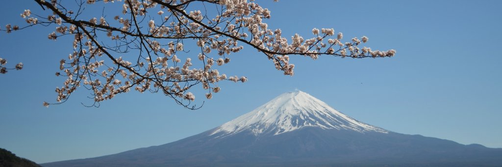 IvanaGeisha's profile banner image