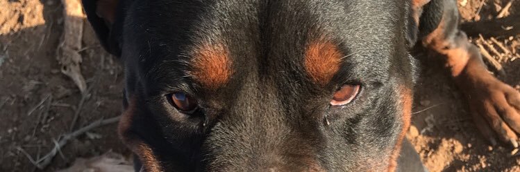 notkurlz's profile banner image
