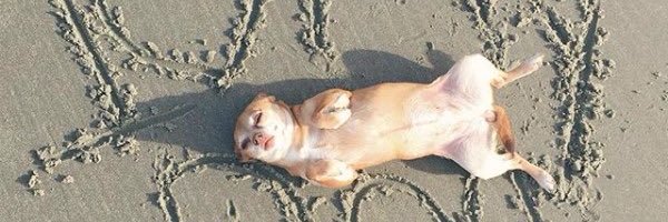 CandiceStumps Profile Banner