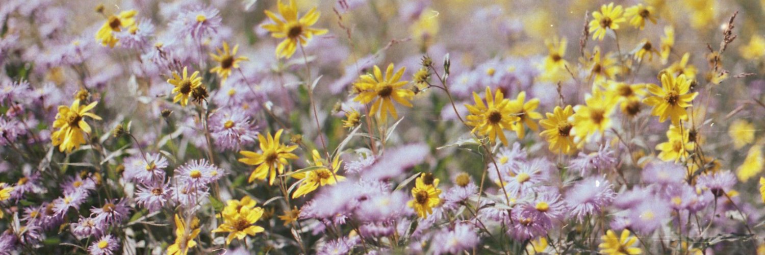 Jacquelyn Fitzgerald banner