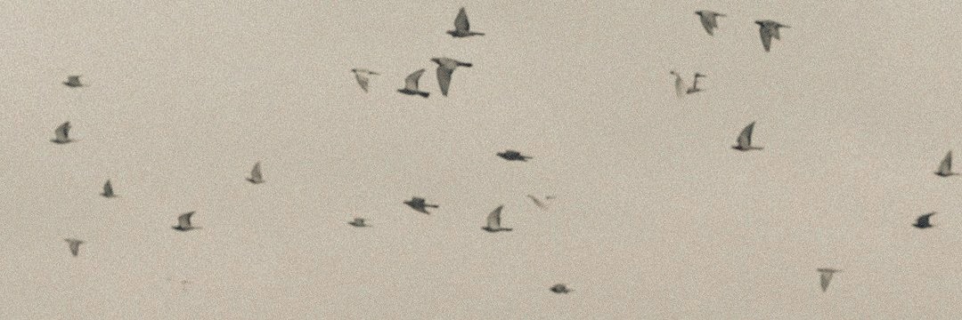empty_Elevator's profile banner image