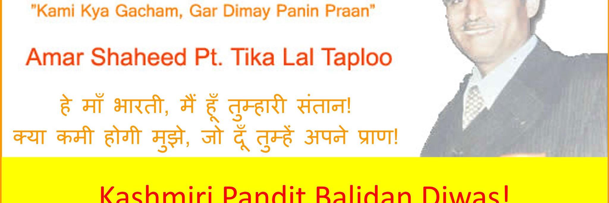 tikalaltaploo's profile banner image