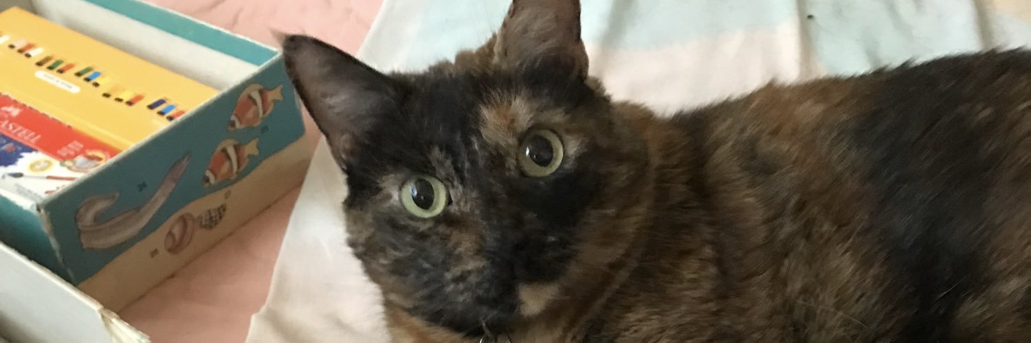 jimena frederick banner