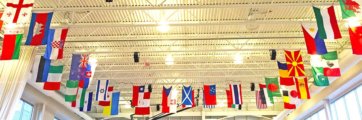 BISC-LP Reception banner