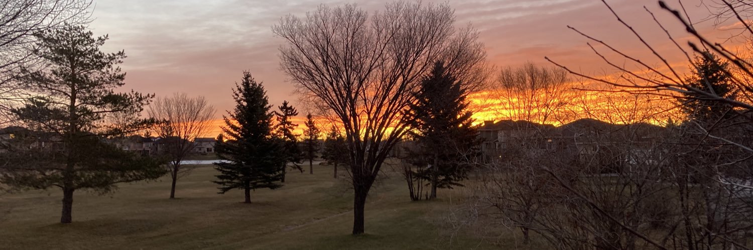 michec52's profile banner image