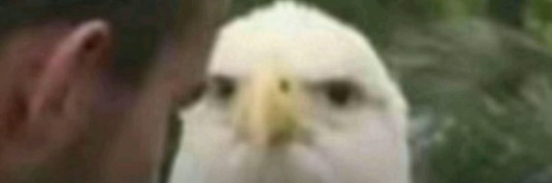 ketak_'s profile banner image