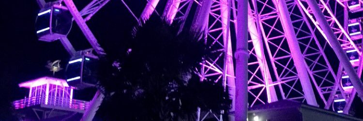 MaelynneRene's profile banner image
