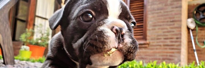 Sofiiverdu's profile banner image