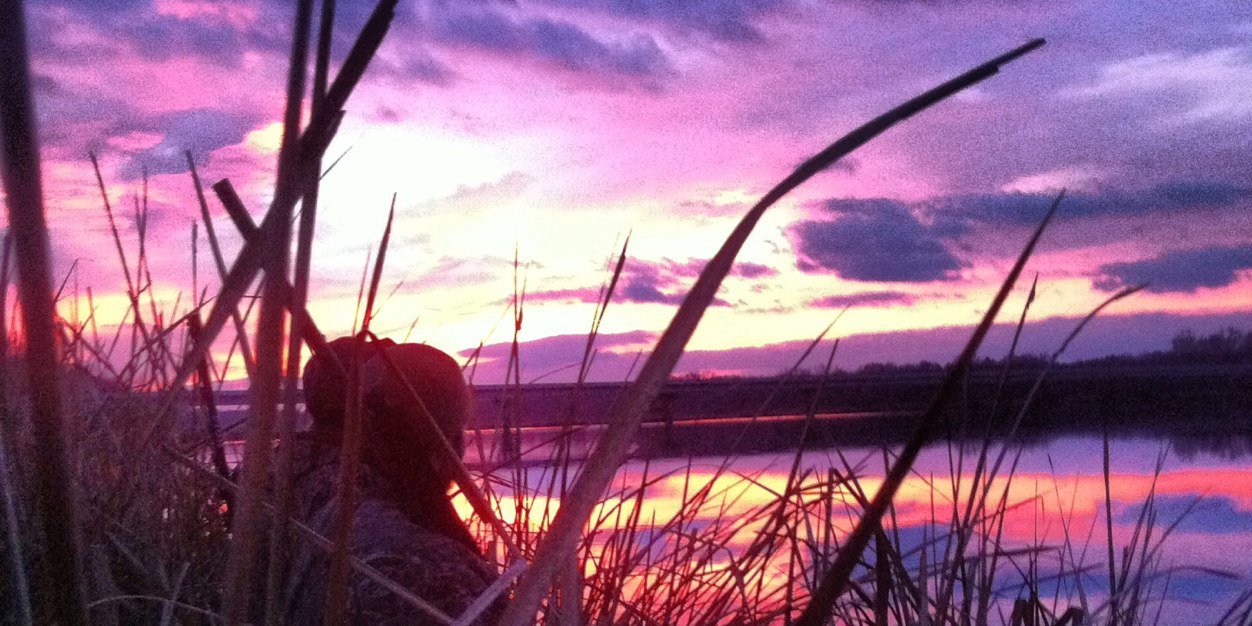 ZaneReynolds's profile banner image