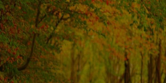 SonshipRev's profile banner image