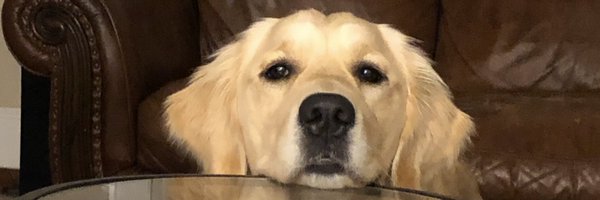 Room9Pics Profile Banner