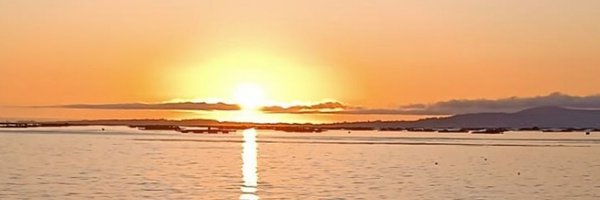 aipeza Profile Banner